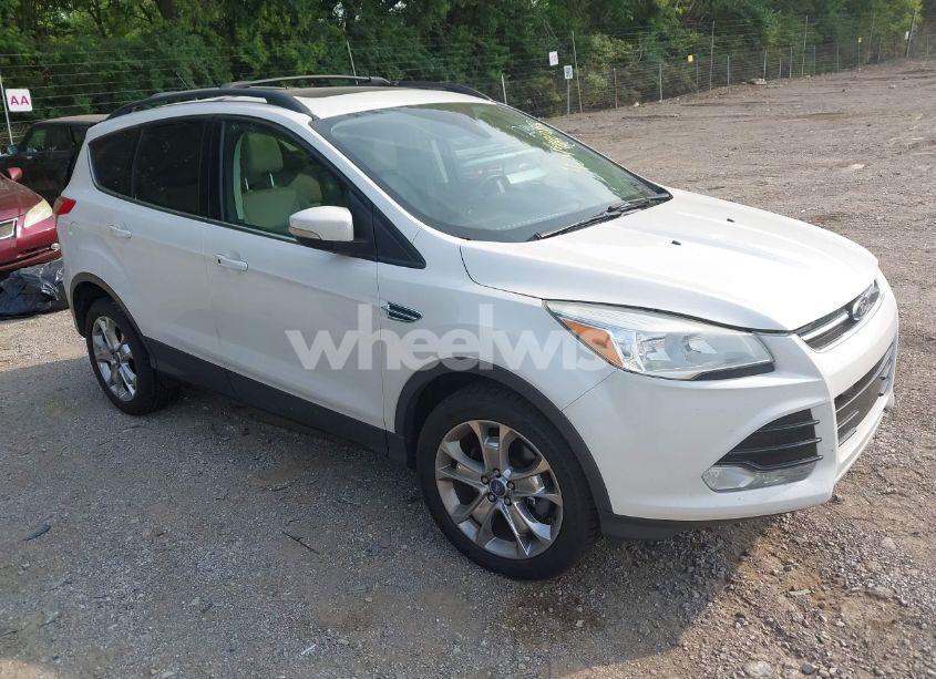 2013 Ford Escape SEL (VIN 1FMCU0H98DUB38612) main photo