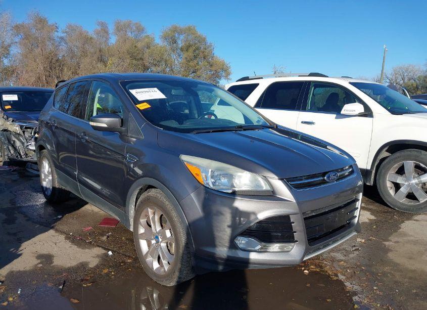 2013 Ford Escape SEL (VIN 1FMCU0H98DUB80570) main photo