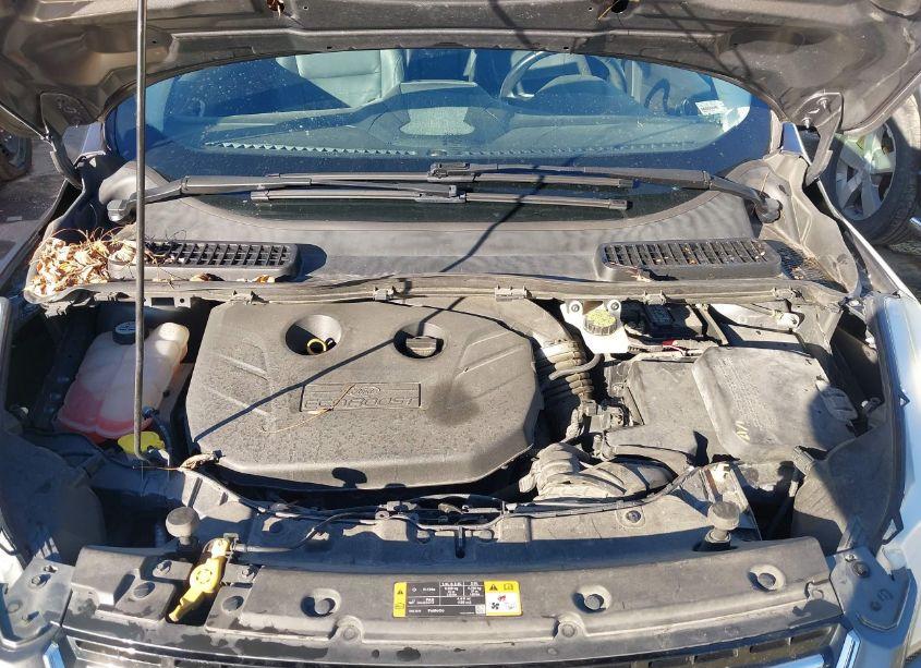 Photo 10 of 2013 Ford Escape SEL (VIN 1FMCU0H98DUB80570)