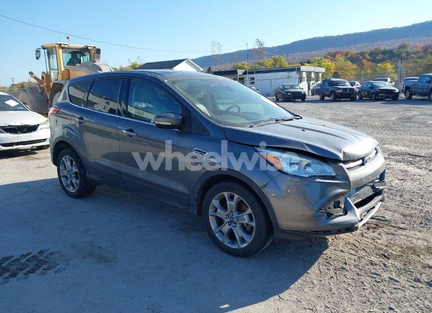 2013 Ford Escape SEL (VIN 1FMCU0H99DUA79344) main photo