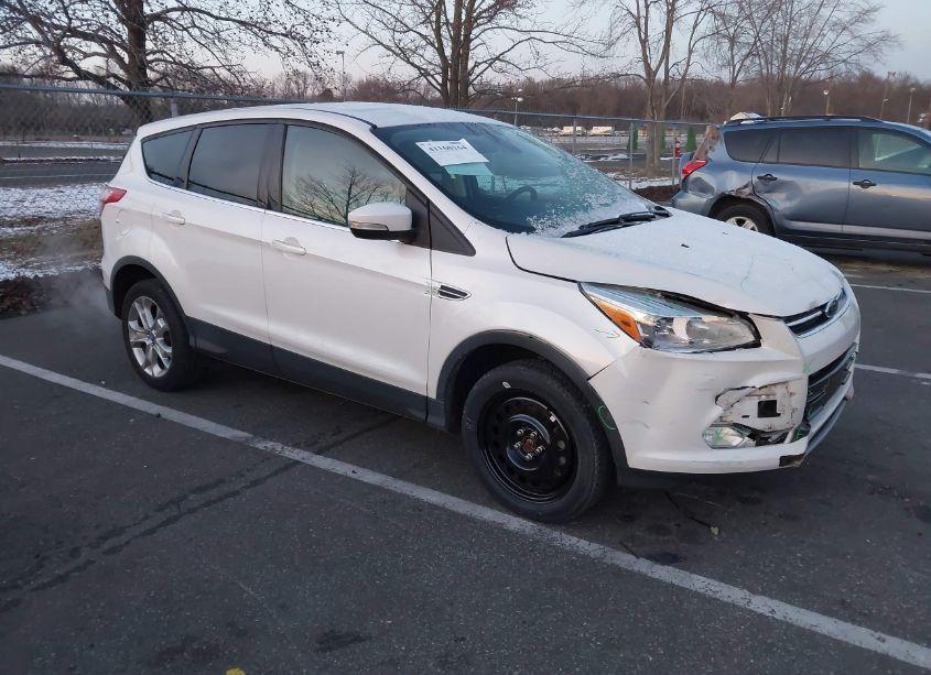 2013 Ford Escape SEL (VIN 1FMCU0H99DUB13010) main photo