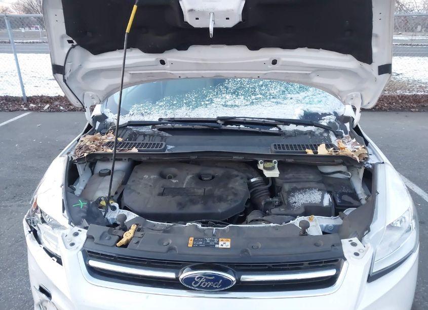 Photo 10 of 2013 Ford Escape SEL (VIN 1FMCU0H99DUB13010)