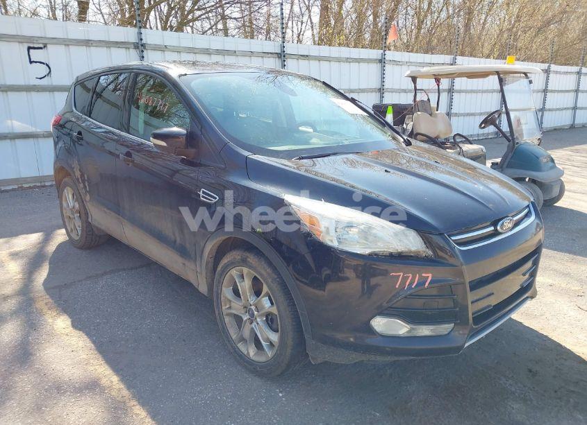 2013 Ford Escape SEL (VIN 1FMCU0H9XDUC42566) main photo