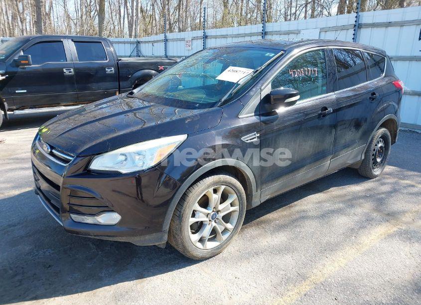 Photo 2 of 2013 Ford Escape SEL (VIN 1FMCU0H9XDUC42566)