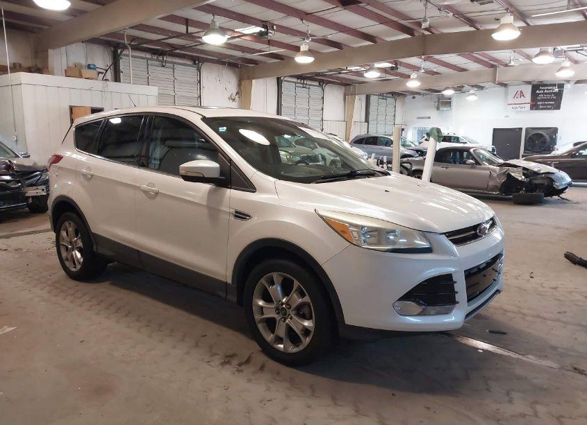 2013 Ford Escape SEL (VIN 1FMCU0H9XDUC57259) main photo