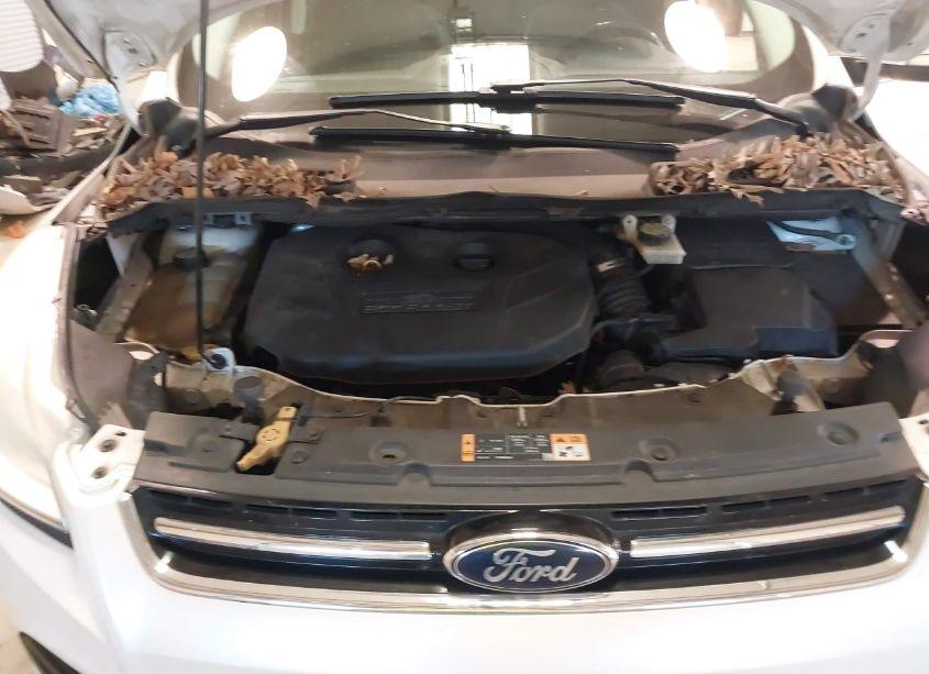 Photo 10 of 2013 Ford Escape SEL (VIN 1FMCU0H9XDUC57259)