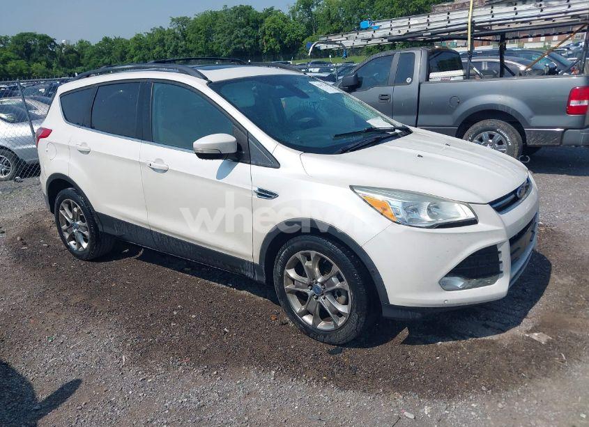2013 Ford Escape SEL (VIN 1FMCU0H9XDUC59481) main photo