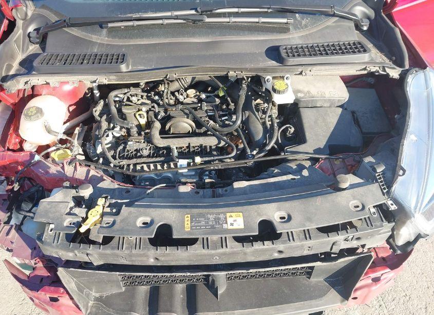 Photo 10 of 2019 Ford Escape SEL (VIN 1FMCU0HD0KUB23460)