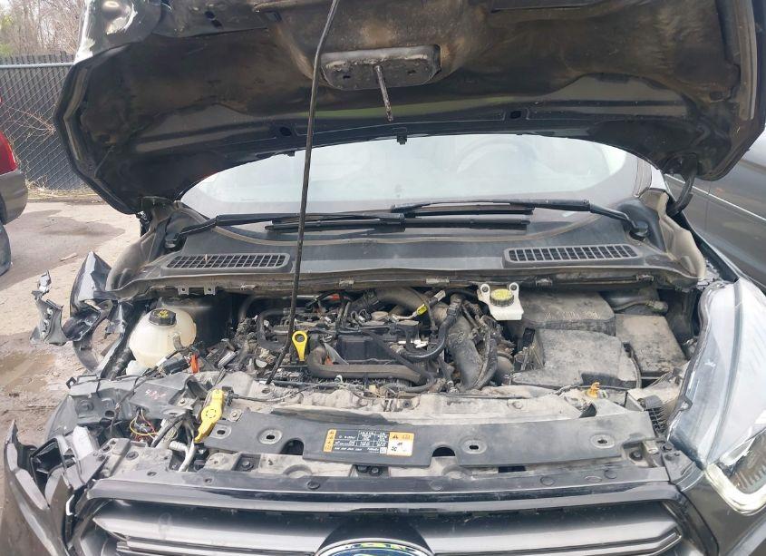 Photo 10 of 2019 Ford Escape SEL (VIN 1FMCU0HD0KUB27153)