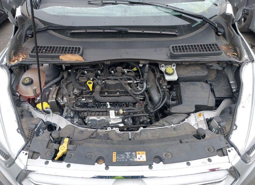 Photo 10 of 2019 Ford Escape SEL (VIN 1FMCU0HD0KUB62145)