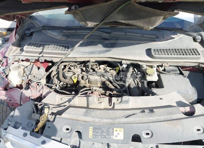 Photo 10 of 2019 Ford Escape SEL (VIN 1FMCU0HD1KUA62538)