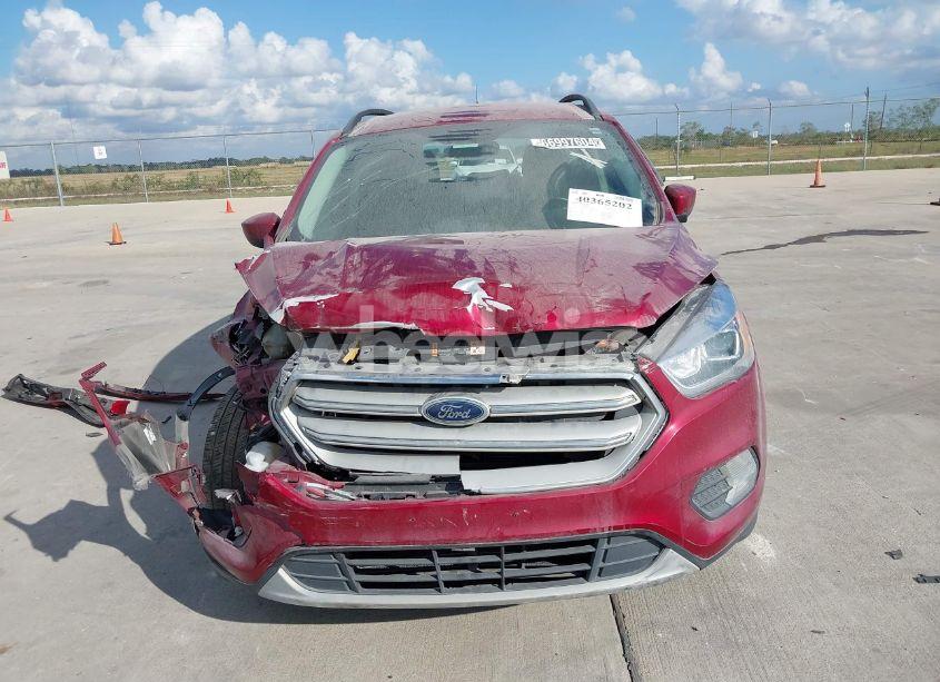 Photo 11 of 2019 Ford Escape SEL (VIN 1FMCU0HD1KUA62538)