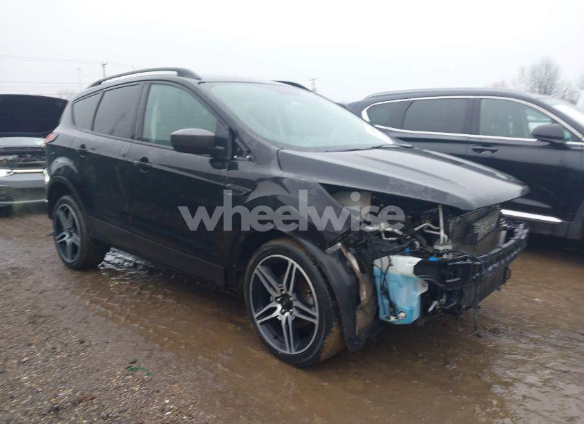 2019 Ford Escape SEL (VIN 1FMCU0HD1KUA95524) main photo