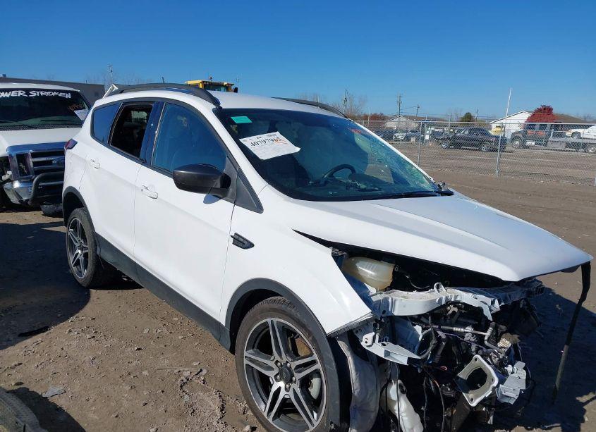 2019 Ford Escape SEL (VIN 1FMCU0HD1KUB62039) main photo