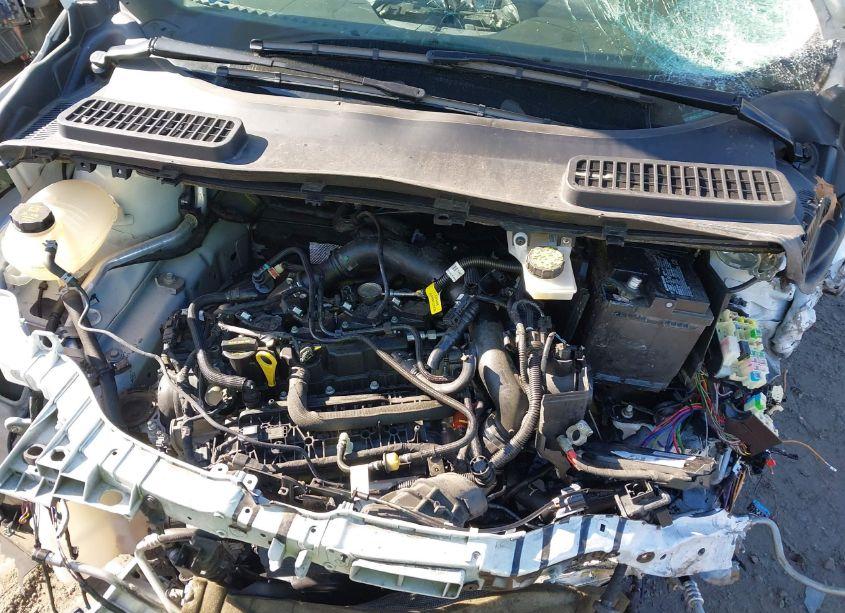 Photo 10 of 2019 Ford Escape SEL (VIN 1FMCU0HD1KUB62039)