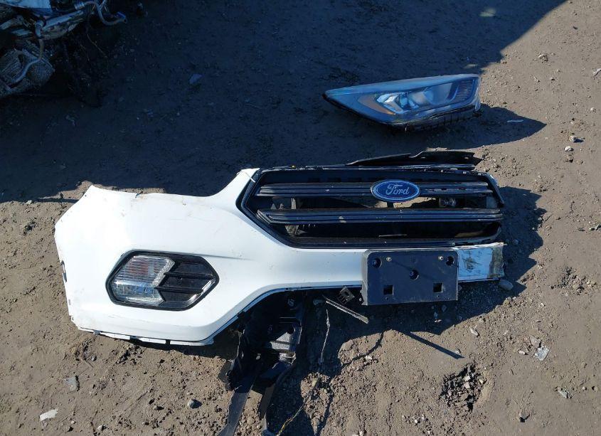 Photo 11 of 2019 Ford Escape SEL (VIN 1FMCU0HD1KUB62039)