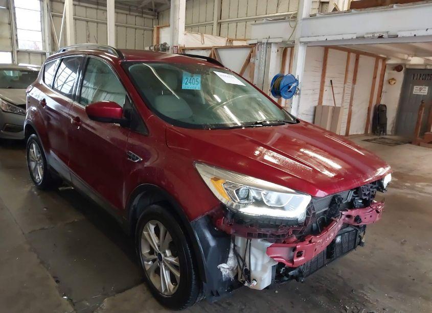 2019 Ford Escape SEL (VIN 1FMCU0HD1KUB93629) main photo