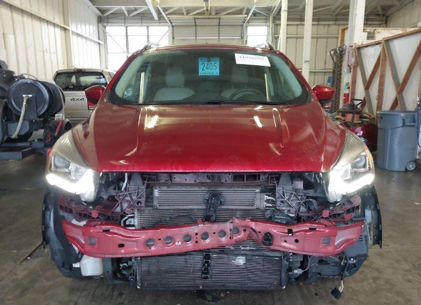 Photo 12 of 2019 Ford Escape SEL (VIN 1FMCU0HD1KUB93629)