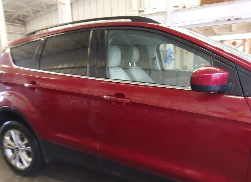 Photo 13 of 2019 Ford Escape SEL (VIN 1FMCU0HD1KUB93629)