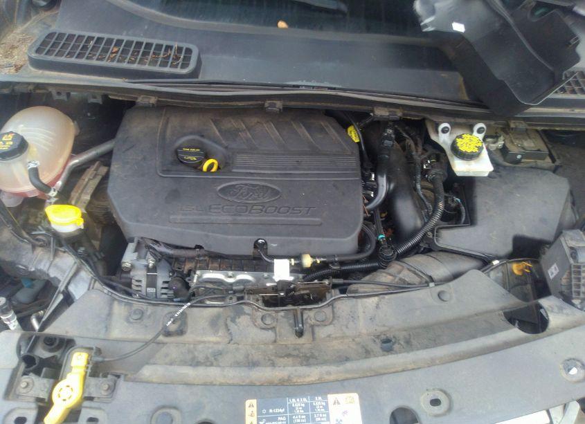 Photo 10 of 2018 Ford Escape SEL (VIN 1FMCU0HD2JUC99926)