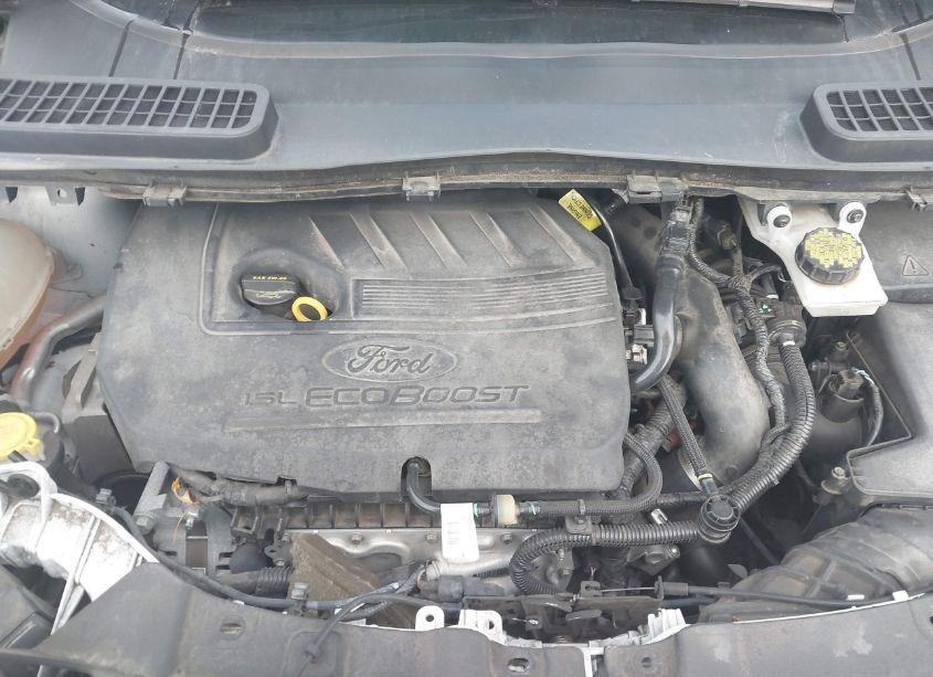 Photo 10 of 2018 Ford Escape SEL (VIN 1FMCU0HD2JUD26185)