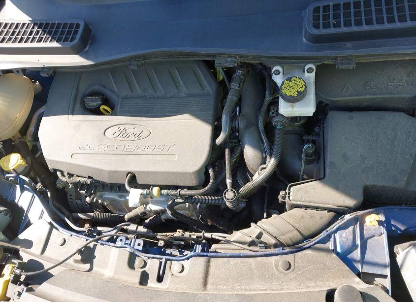 Photo 10 of 2018 Ford Escape SEL (VIN 1FMCU0HD3JUB71484)