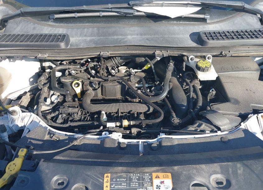 Photo 10 of 2019 Ford Escape SEL (VIN 1FMCU0HD4KUA70987)