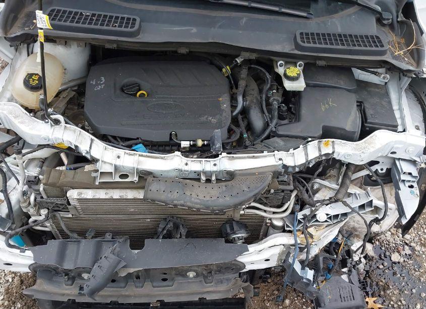 Photo 10 of 2018 Ford Escape SEL (VIN 1FMCU0HD5JUB08872)