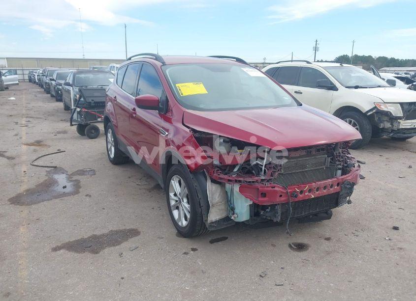2019 Ford Escape (VIN 1FMCU0HD5KUC02221) main photo