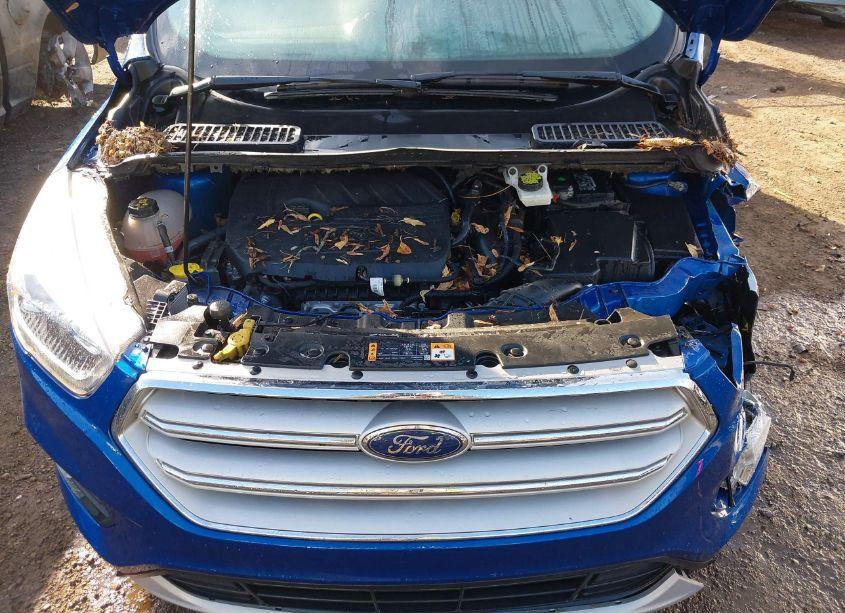 Photo 10 of 2018 Ford Escape SEL (VIN 1FMCU0HD6JUC68548)