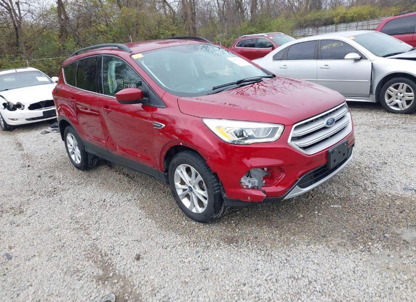 2019 Ford Escape SEL (VIN 1FMCU0HD6KUA60901) main photo