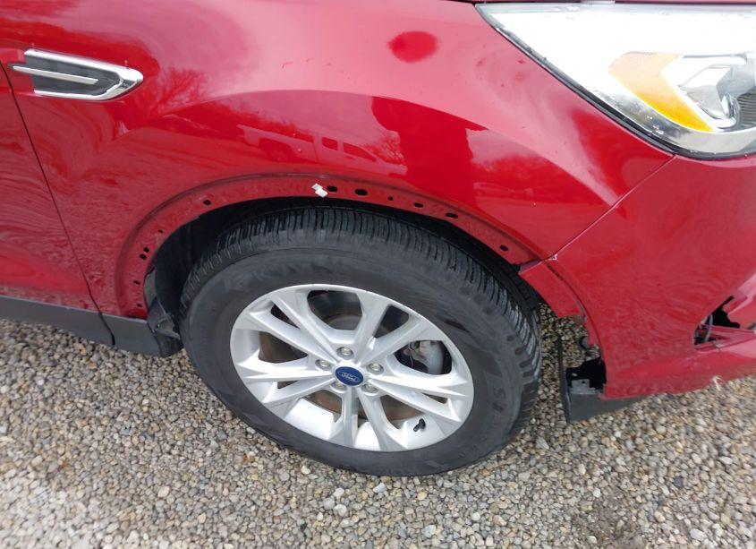 Photo 18 of 2019 Ford Escape SEL (VIN 1FMCU0HD6KUA60901)