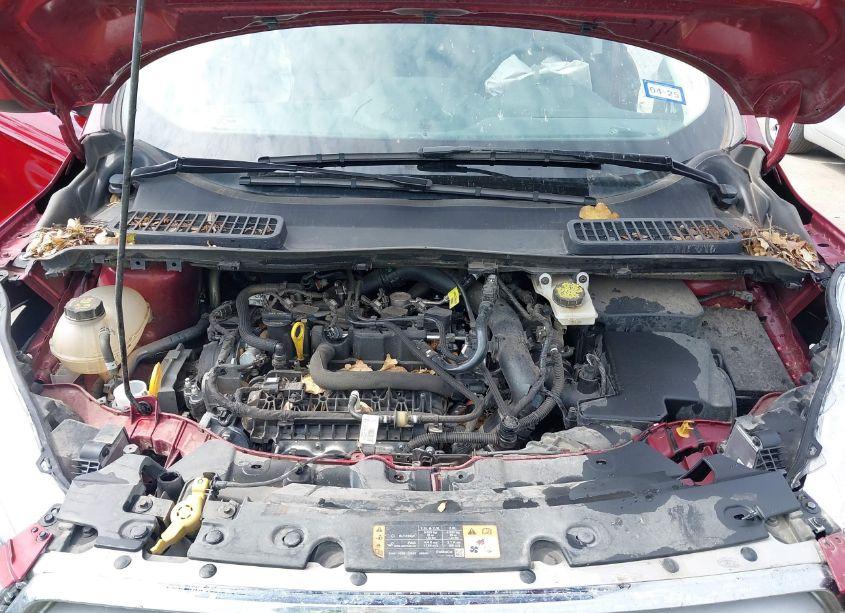 Photo 10 of 2019 Ford Escape SEL (VIN 1FMCU0HD6KUB66006)