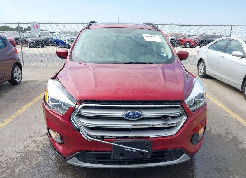 Photo 13 of 2019 Ford Escape SEL (VIN 1FMCU0HD6KUB66006)