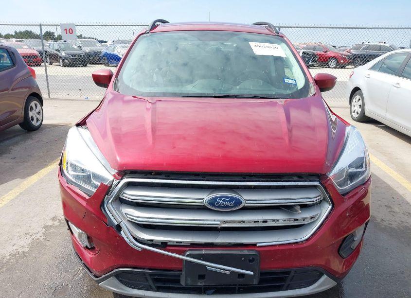 Photo 6 of 2019 Ford Escape SEL (VIN 1FMCU0HD6KUB66006)
