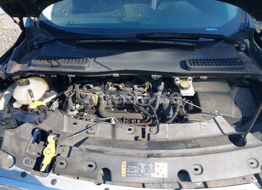 Photo 10 of 2019 Ford Escape SEL (VIN 1FMCU0HD6KUC29217)