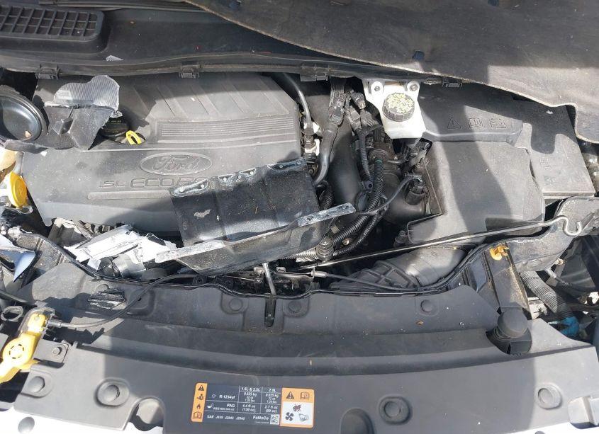 Photo 10 of 2018 Ford Escape SEL (VIN 1FMCU0HD7JUC71782)