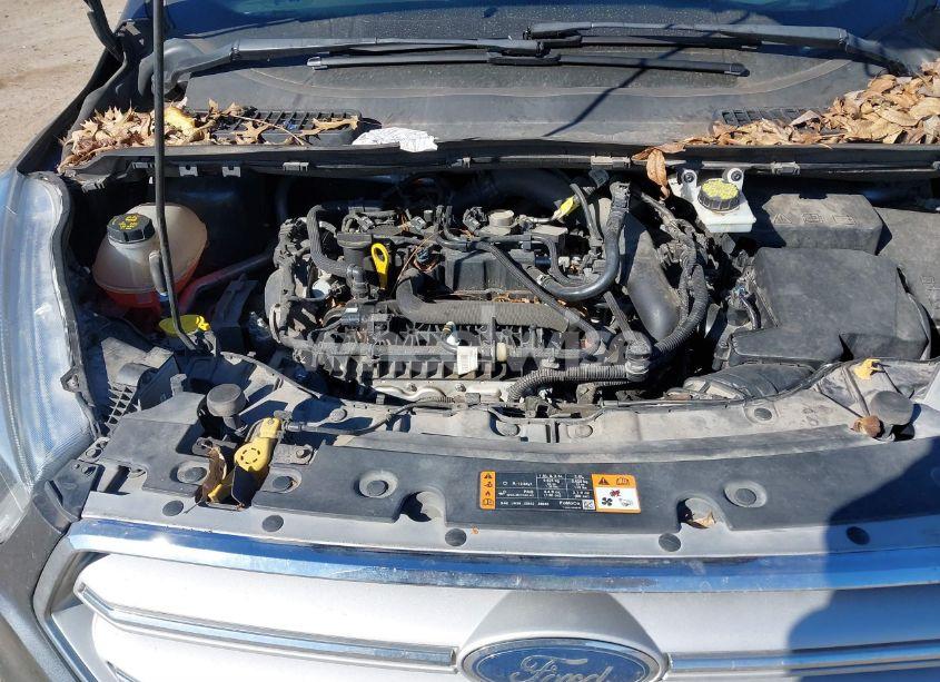 Photo 10 of 2019 Ford Escape SEL (VIN 1FMCU0HD7KUB01018)