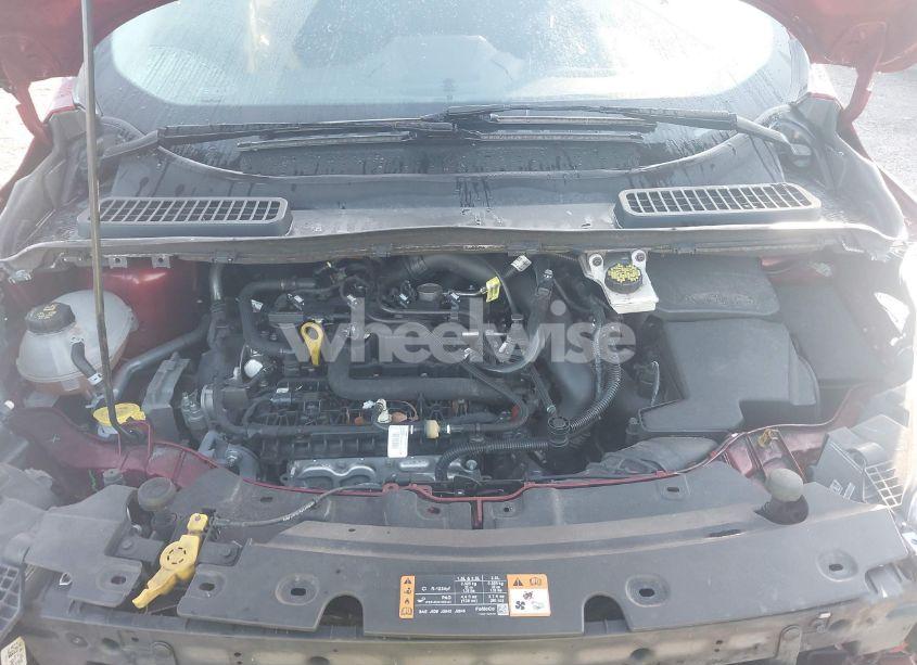 Photo 10 of 2019 Ford Escape SEL (VIN 1FMCU0HD7KUB20913)