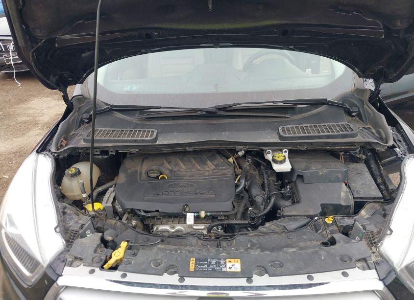 Photo 10 of 2018 Ford Escape SEL (VIN 1FMCU0HD8JUA75690)