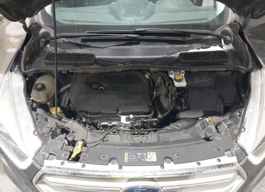 Photo 10 of 2018 Ford Escape SEL (VIN 1FMCU0HD9JUA70594)