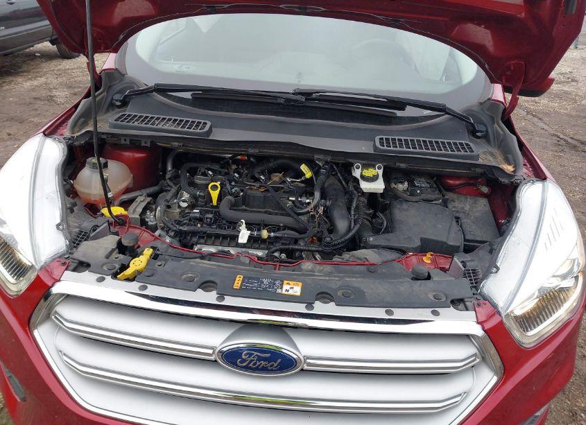 Photo 10 of 2019 Ford Escape SEL (VIN 1FMCU0HD9KUA92631)