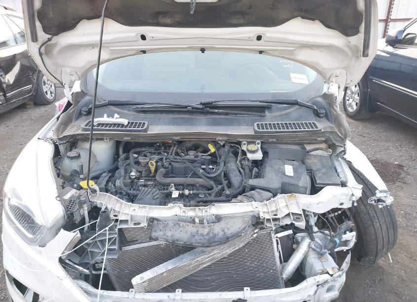 Photo 10 of 2019 Ford Escape SEL (VIN 1FMCU0HD9KUB01148)