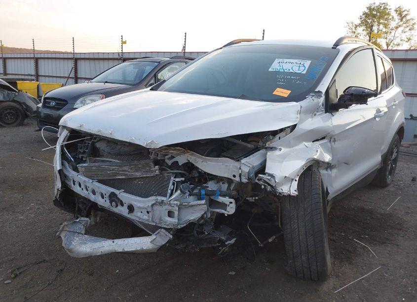 Photo 6 of 2019 Ford Escape SEL (VIN 1FMCU0HD9KUB01148)