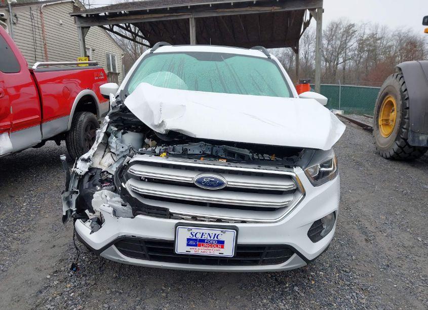 Photo 13 of 2019 Ford Escape SEL (VIN 1FMCU0HD9KUB74889)