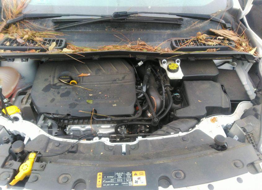 Photo 10 of 2018 Ford Escape SEL (VIN 1FMCU0HDXJUD14592)