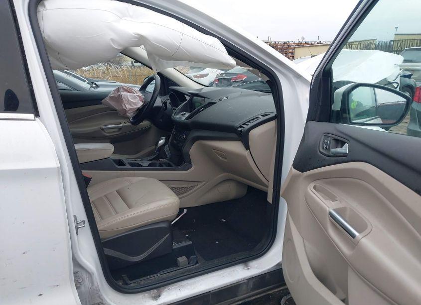 Photo 5 of 2019 Ford Escape SEL (VIN 1FMCU0HDXKUA04122)