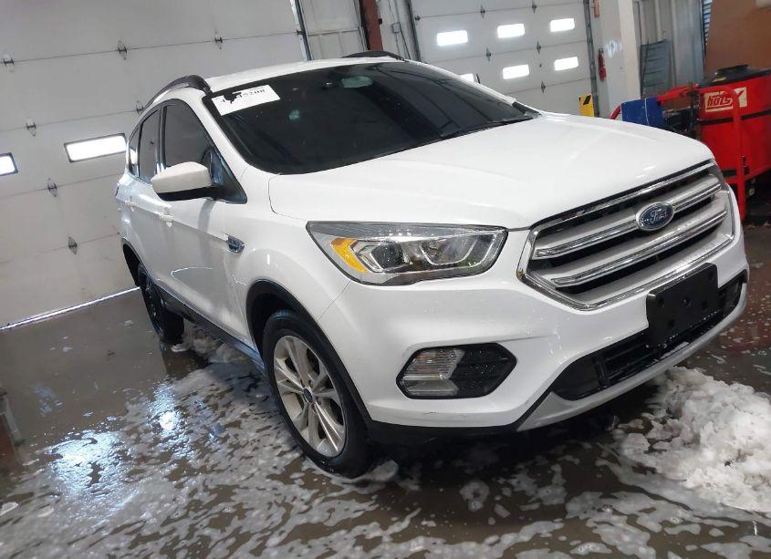 2019 Ford Escape SEL (VIN 1FMCU0HDXKUA54177) main photo