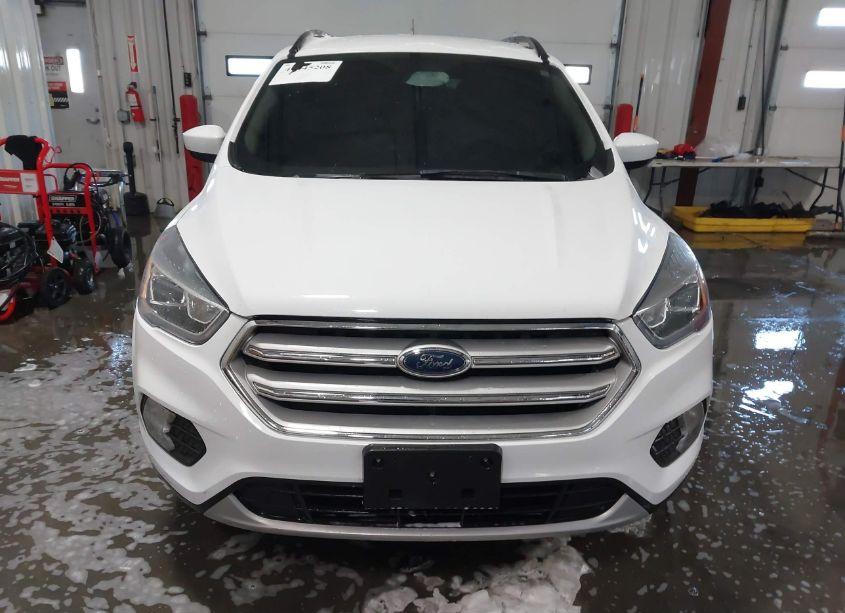 Photo 12 of 2019 Ford Escape SEL (VIN 1FMCU0HDXKUA54177)