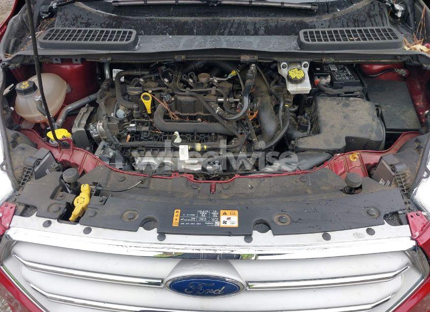 Photo 10 of 2019 Ford Escape SEL (VIN 1FMCU0HDXKUB45370)